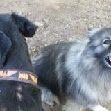 2015_910_nika und mansour